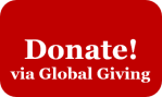 Donate global giving